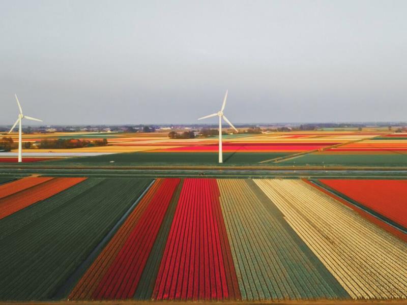 Les fournisseurs d’ampoules durables ouvrent la voie