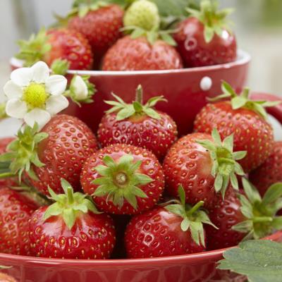 Strawberry