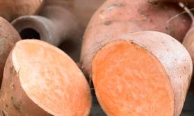 Sweet Potato