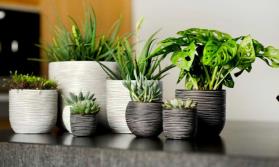 Planters - Indoor/Outdoor