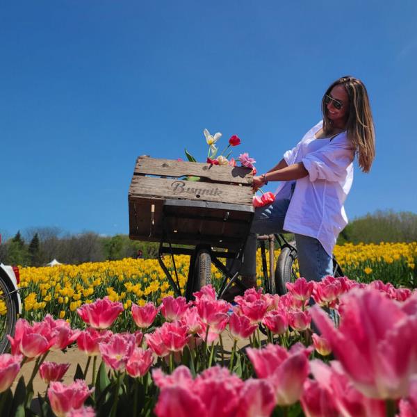 Biking the tulip farm