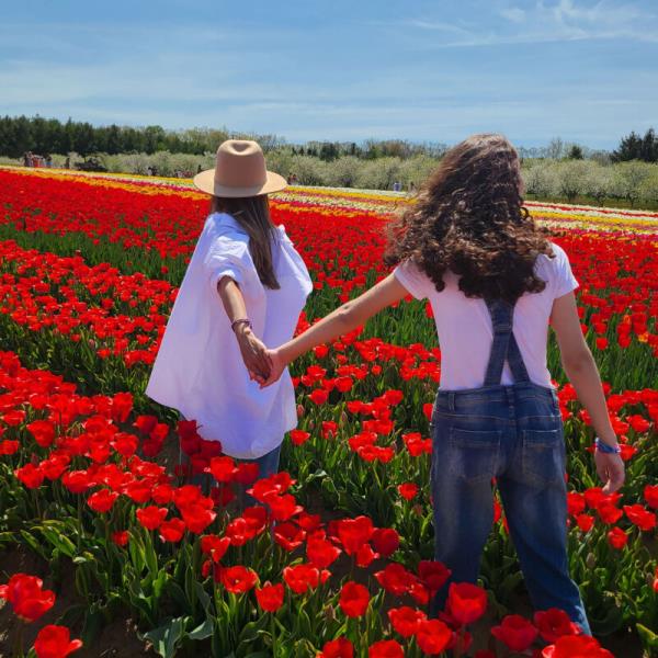 Holding hands in the tulip farm