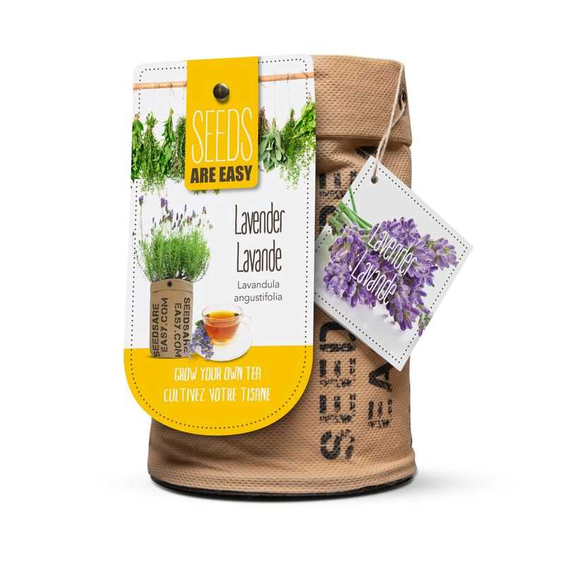 Lavender Seed Grow Kit