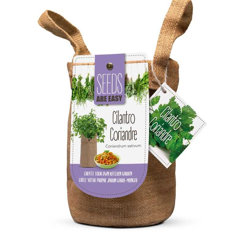 Cilantro Seed Grow Kit