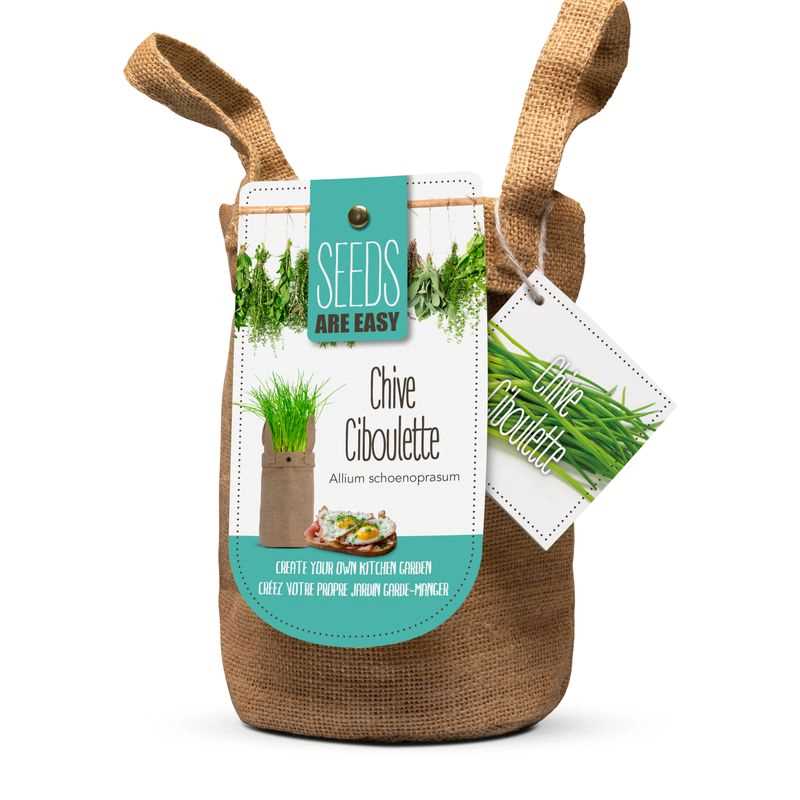 Chive Seed Grow Kit