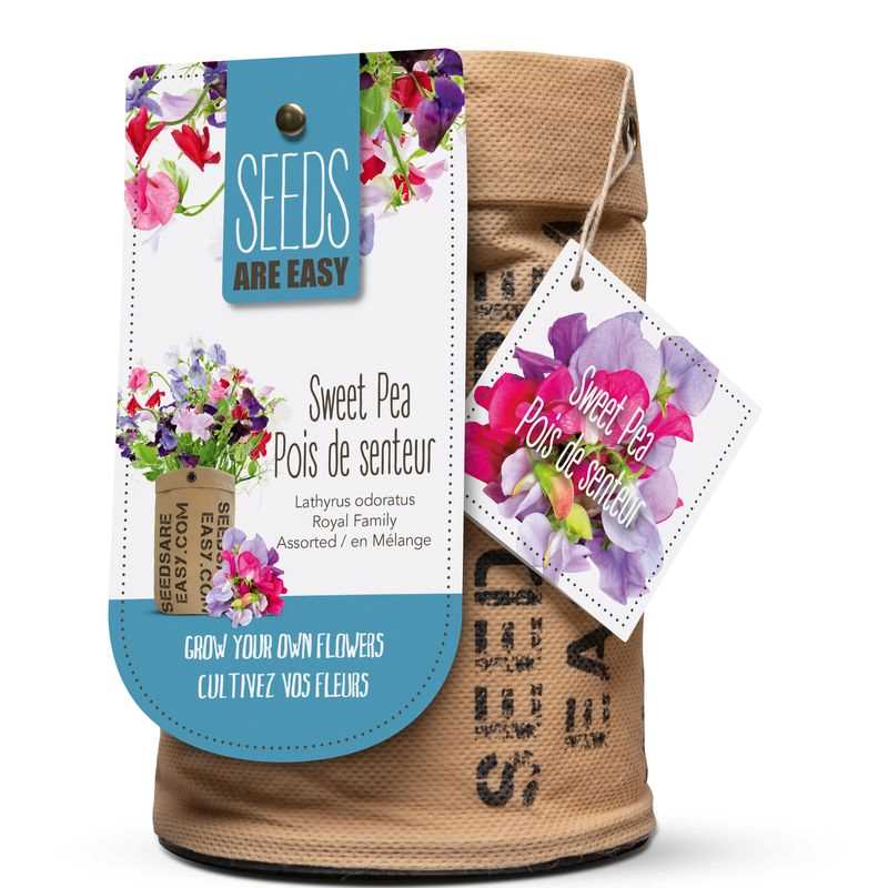 Sweet Pea Royal Family Mix Seed Grow Kit