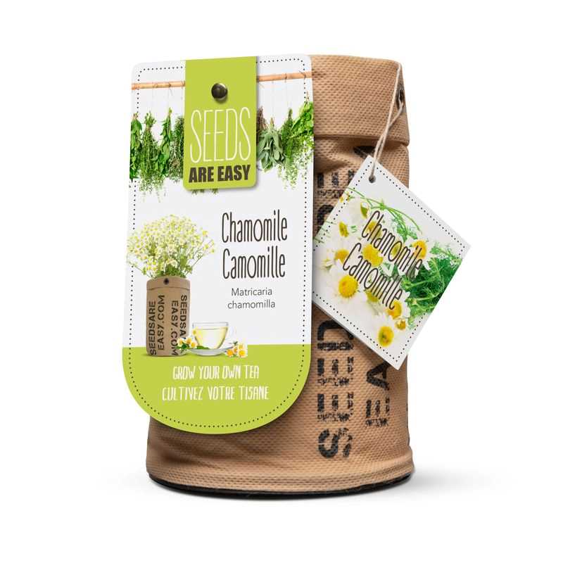 German Chamomile Seed Grow Kit