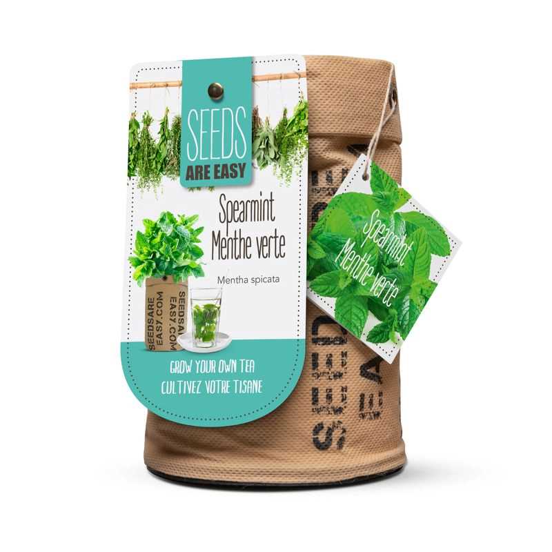 Spearmint Seed Grow Kit