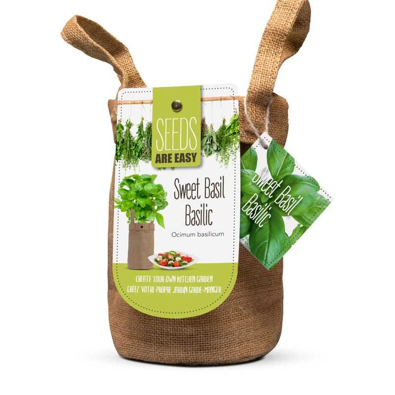 Sweet Basil Seed Grow Kit