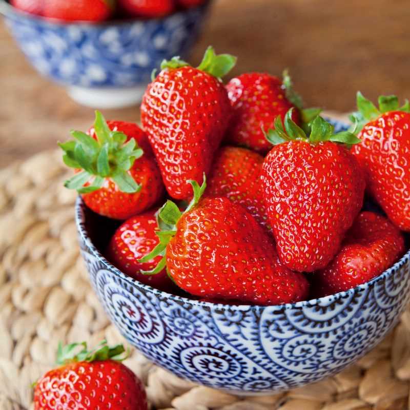 5 Albion Strawberry Plugs (Baby Plant)