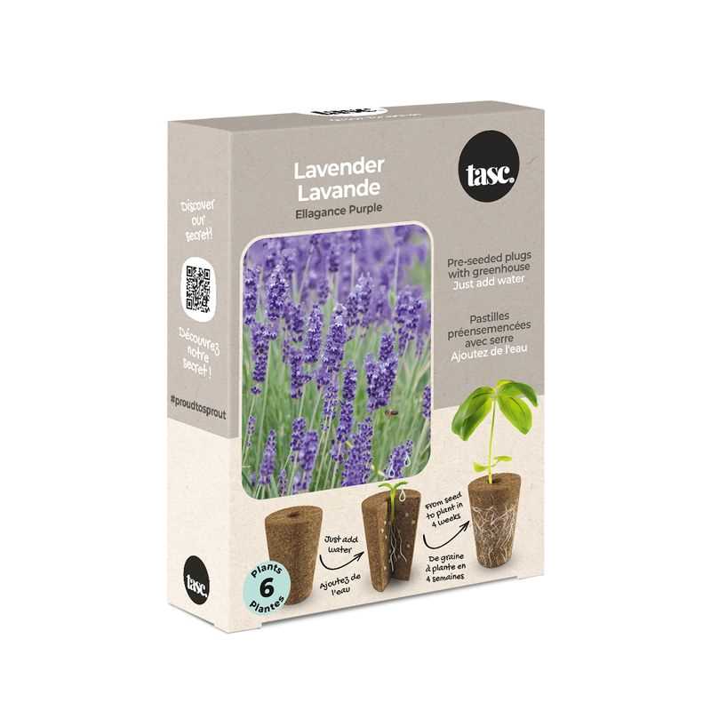 Lavender Seed Plug Grow Kit