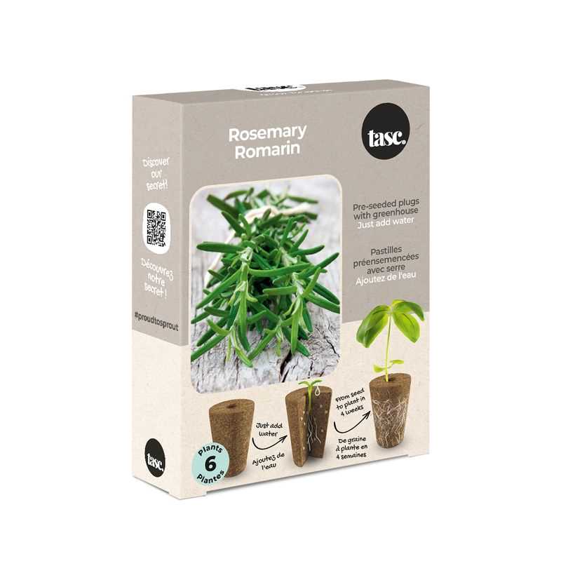 Rosemary Seed Plug Grow Kit