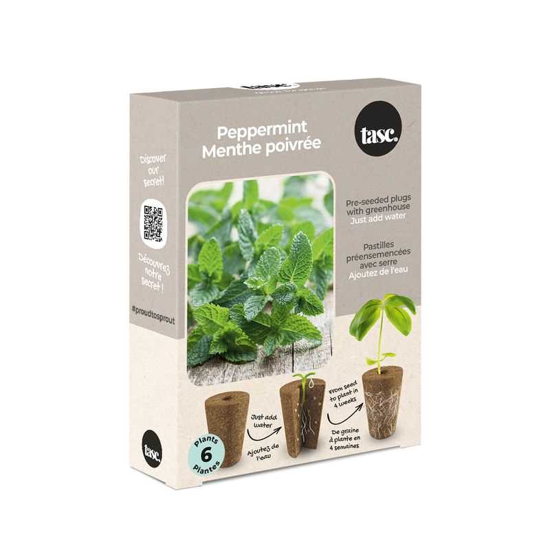 Peppermint Seed Plug Grow Kit