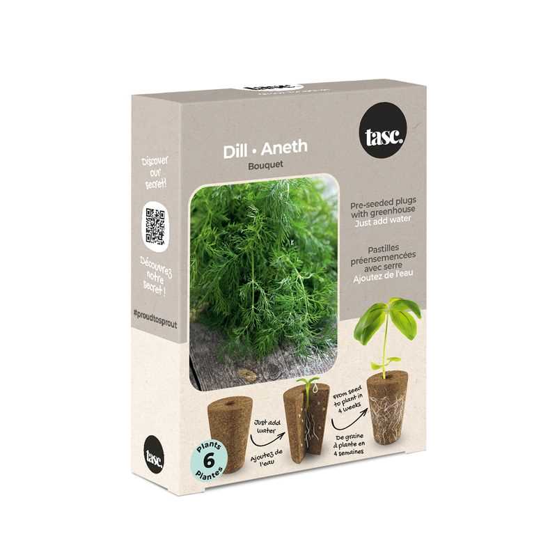 Bouquet Dill Seed Plug Grow Kit