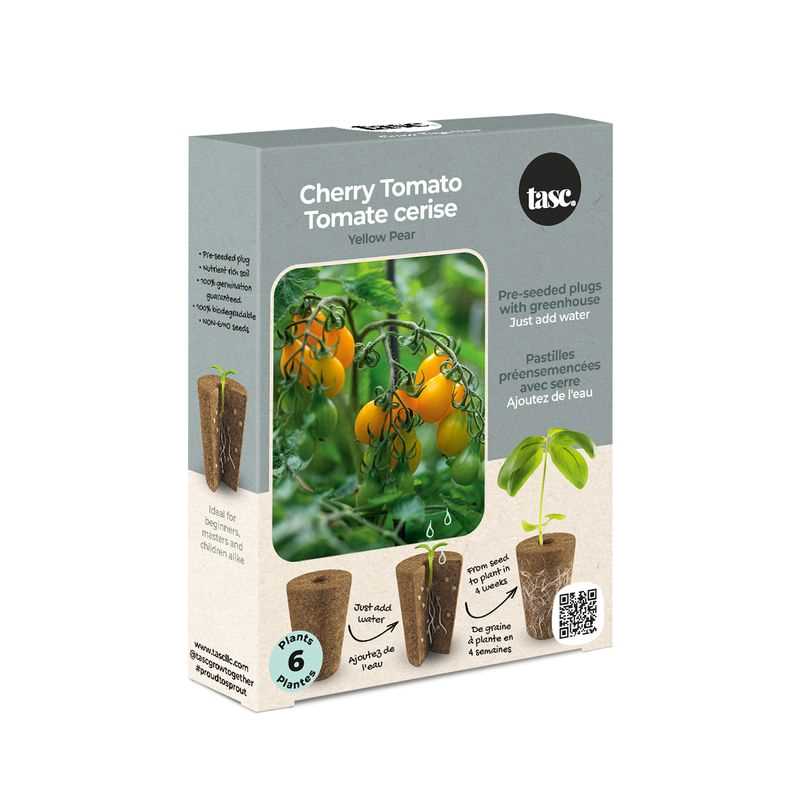 Yellow Pear Tomato Seed Plug Grow Kit