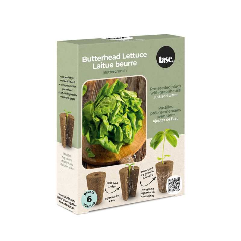 Butterhead Lettuce Seed Plug Grow Kit