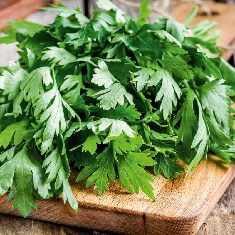 Parsley Seed Grow Kit