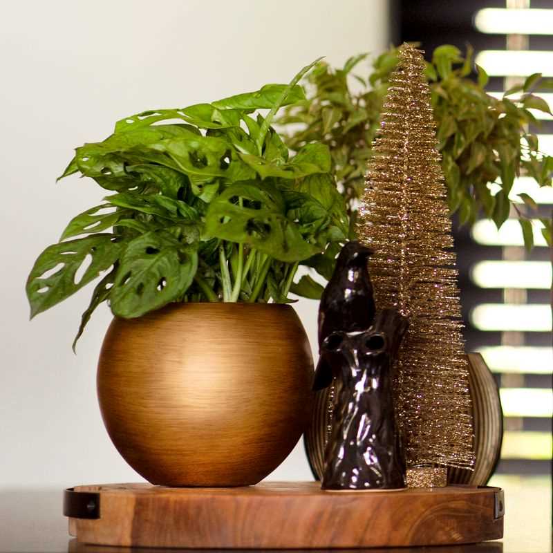 Nature Groove/Lux Indoor Planter Gold (set of 4)