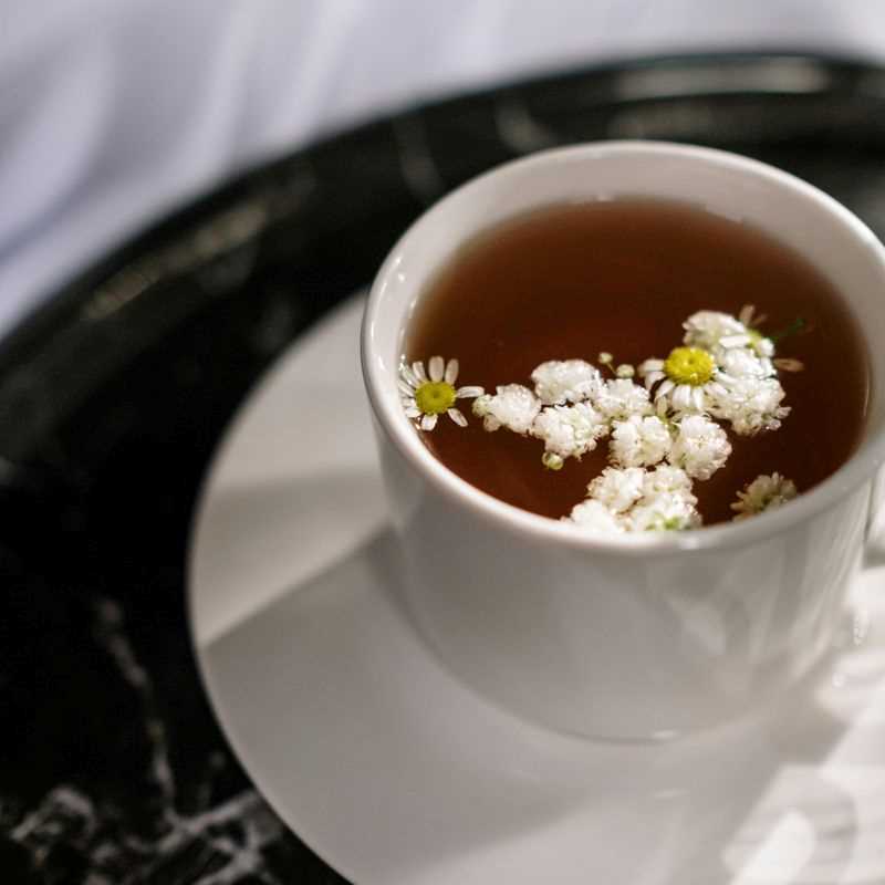 German Chamomile Seed Grow Kit