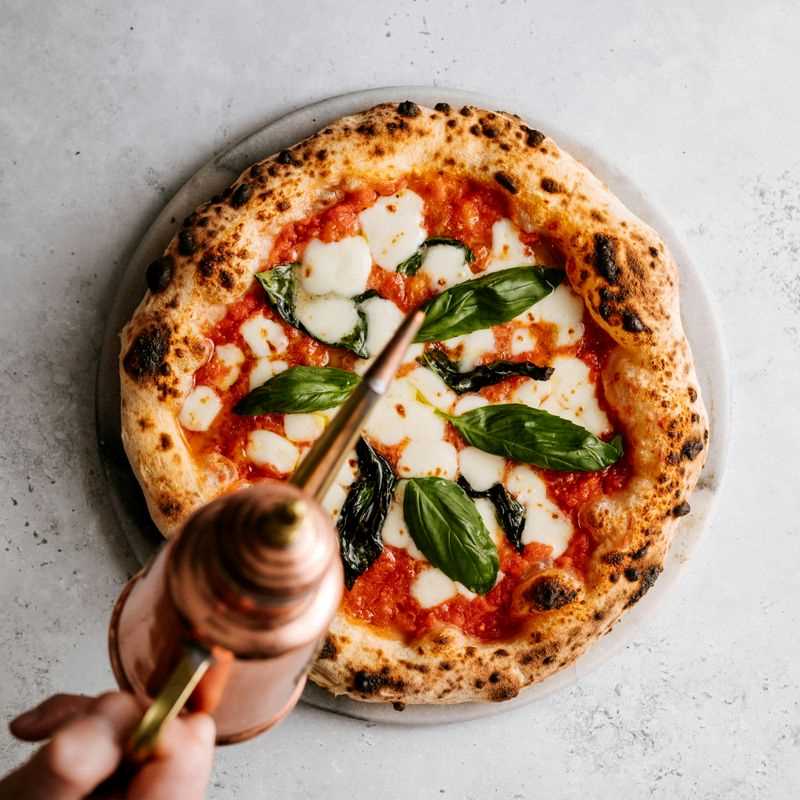 Sweet Basil Seed Grow Kit