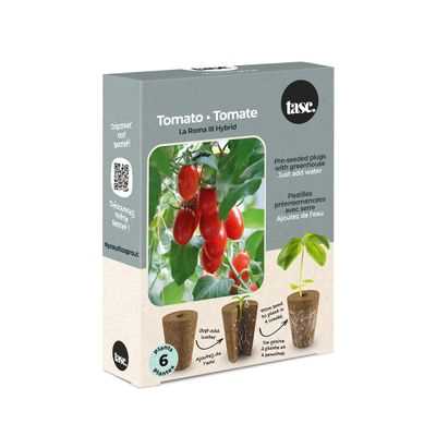 Roma Tomato Seed Plug Grow Kit